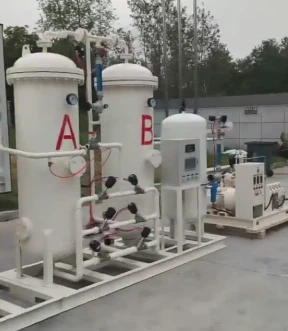 PSA Nitrogen Generator PSA Nitrogen Generator